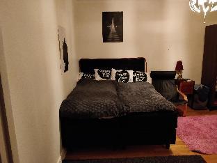 Downtown apartment - 5 min to city center