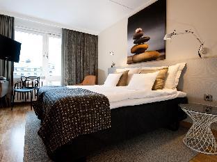 Hotel Birger Jarl