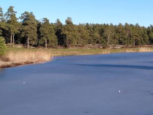 Rustic Retreat Near Stockholm Nature