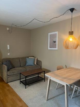 Two rooms apartment at Rgsved